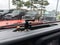 2018 Jeep Wrangler Sport 4x4