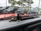 2018 Jeep Wrangler Sport 4x4