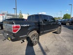 2014 Ford F-150 Platinum