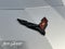2024 Chevrolet Corvette RWD Convertible 2LT