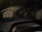 2022 Chevrolet Silverado 1500 2WD Crew Cab Short Bed Custom