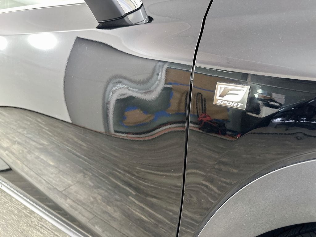 2021 Lexus NX F SPORT