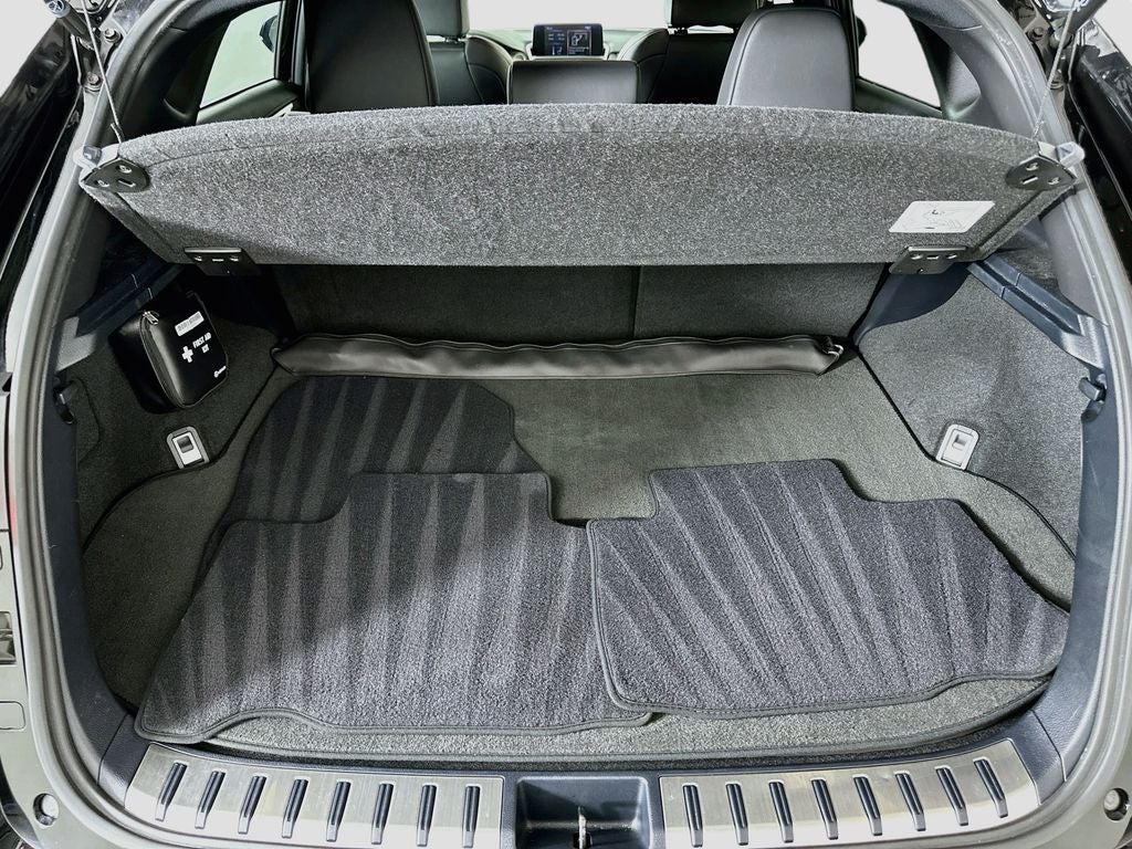 2021 Lexus NX F SPORT